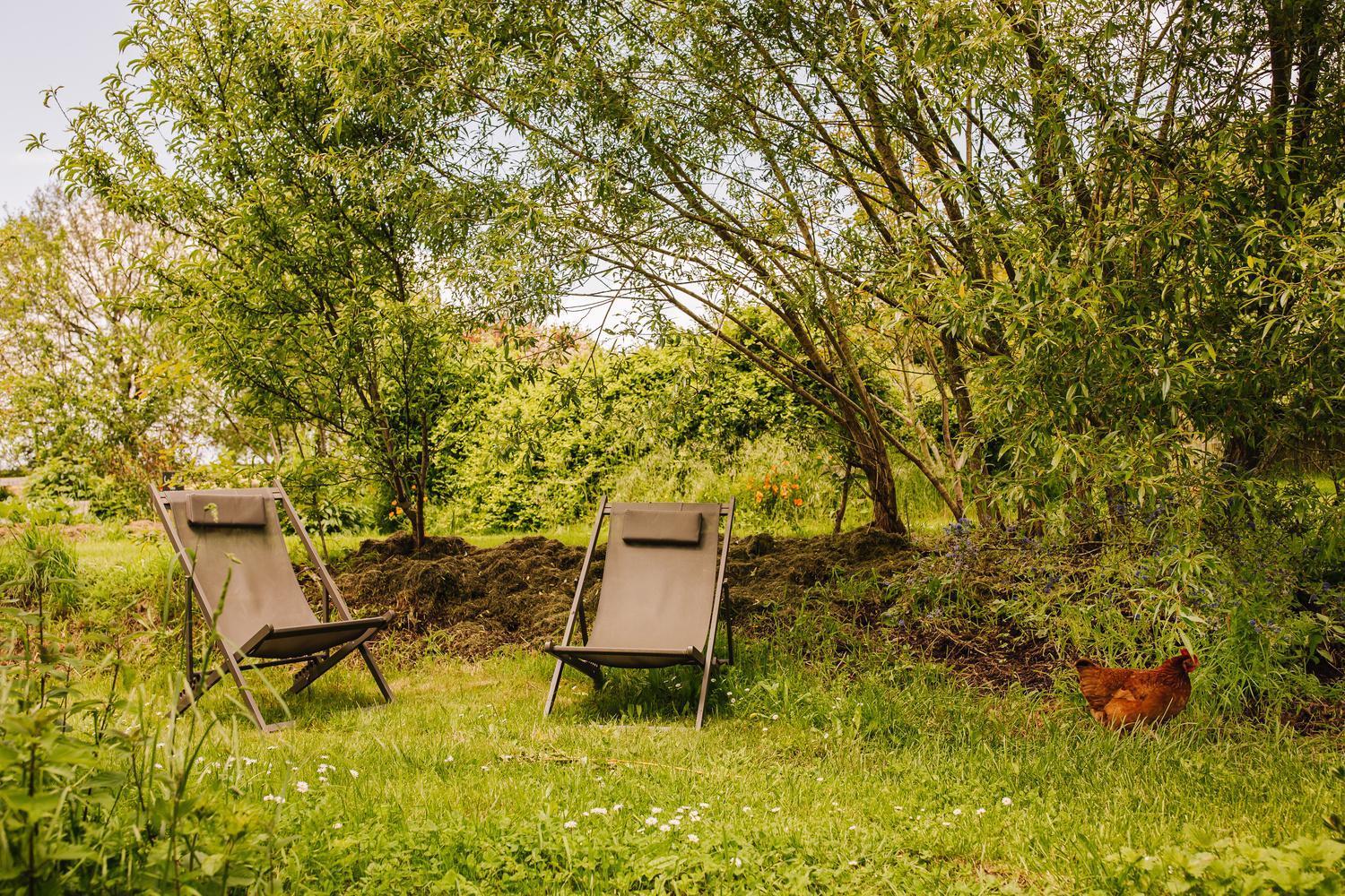Ecolodge La Belle Verte Saint-M'herve ภายนอก รูปภาพ